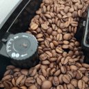 이스팀 | 분당 판교 커피 맛집 이스팀커피 인텔리젠시아 원두 내돈내산 솔직후기