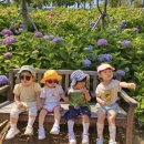 다온숲어린이집 이미지