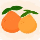 안덕면 대평 소기왓로 이미지