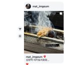 야키토리 화화