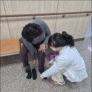 강진신발 이미지