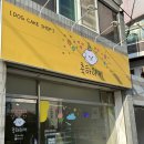 축하하개 이미지