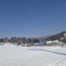 휘닉스 평창 스노보드 &amp; 더 화이트 호텔 1박 후기 🎿🏨