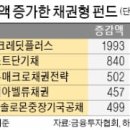 다올 베스트 코리아