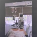 송파스마일동물병원 이미지