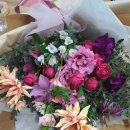 도래울부부한의원 이미지