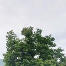 용진리 마을회관 이미지