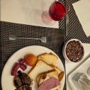 5569 | Day4. 요르단 여행(와디럼 투어 후기, 추천)