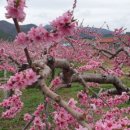 우리들당구장 이미지