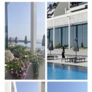 제인콜렉션(Jane collection)