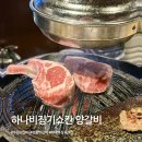 청명남로 | 영통 양갈비 하나비징기스칸 수원 영통점 후기 장단점 정리