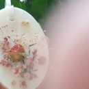 주말체험 버블버블 입욕제 만들기 이미지