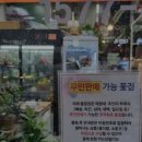 마곡꽃광장 이미지