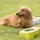 삼광개발주 이미지