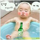 애기야 이미지