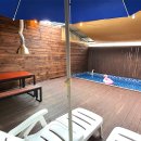 돌고래게임장 이미지