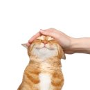 송희네 이미지
