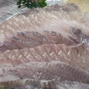 신당좋아요동물병원 이미지