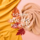 행복한고양이동물병원 이미지