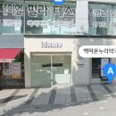 백마온누리약국 티스토리