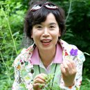 푸른농장B 이미지