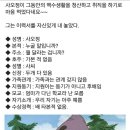 사오정 이미지