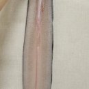 덕진-122 이미지