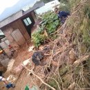 사암1리 이미지