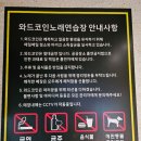 와드 코인 노래연습장 이미지