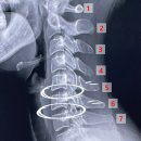 강남퍼스트재활의학과의원 이미지