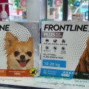 맑은온누리약국 이미지