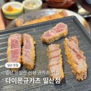 일산로380번길 | 일산 밤리단길 규카츠 맛집 다이몬규카츠 일산점 신규 오픈 후기