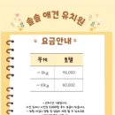 솔솔애견유치원 네이버블로그