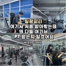 일광스타타워2 | 일광피티 처음 받아봤는데 왜 다들 여기서 PT 받는지 알겠음