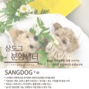 상도그 검암점 이미지