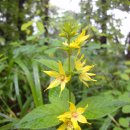 큰재 주차장 이미지