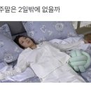 세종모터스 이미지