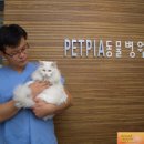 펫피아 동물병원 이미지