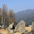 정선가든 | 정선 데이트코스 추천 | [로미지안가든] 방문 후기 / 단풍 구경