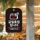 금일상회