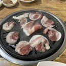 연일 뒷통 이미지