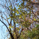 수봉자연학습원 이미지