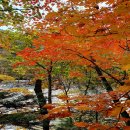 제 161차 2025년10월 산행, 강원 인제군 [ 설악산 백담사 수렴동계곡 트레킹] 이미지