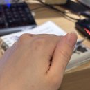 샹벌떼 PC방 네이버블로그