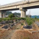 원신농장 이미지