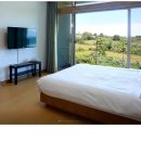 솔가칼국수 이미지