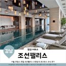 올리브덴탈강남점 | 서울호캉스 조선팰리스 강남 콘스탄스 조식 수영장 후기