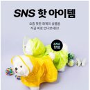 펫미인 | 다이소 SNS 핫템 28종 솔직 리뷰!