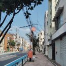 초심회관 | [Tour]#236.#237 마이리얼트립 어린이도슨트 후기,#103.일본국립과학박물관,#119.일본과학미래관/중학생...