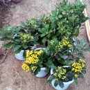 둘리 농장 이미지